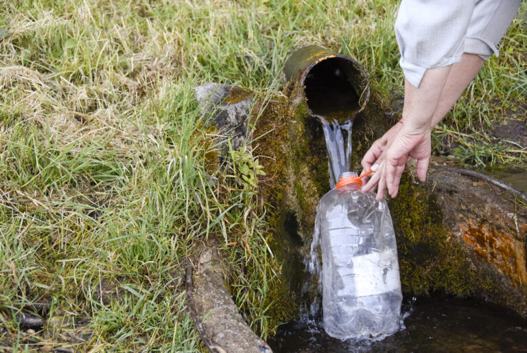 Avots Indarsfoto 1 1