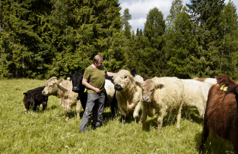 Ganampulks Indarsfoto 8