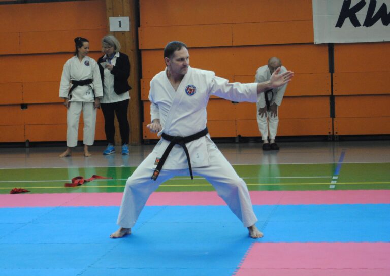 Karate Andis 1