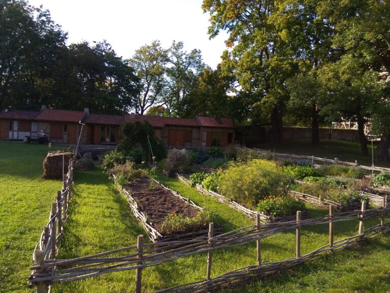 71273718 1314183472090389 5117404626391400448 O 1