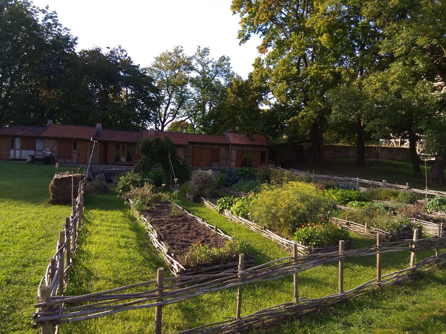 71273718 1314183472090389 5117404626391400448 O 1