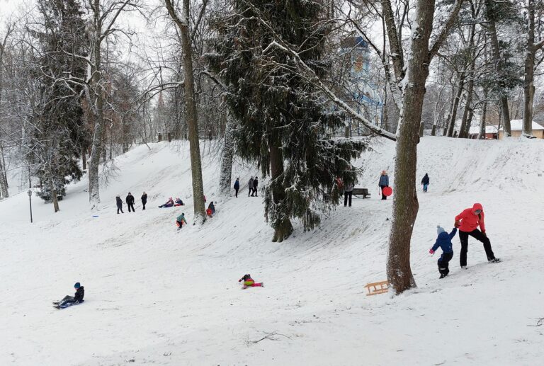 Sniega Prieki Parkaa 1