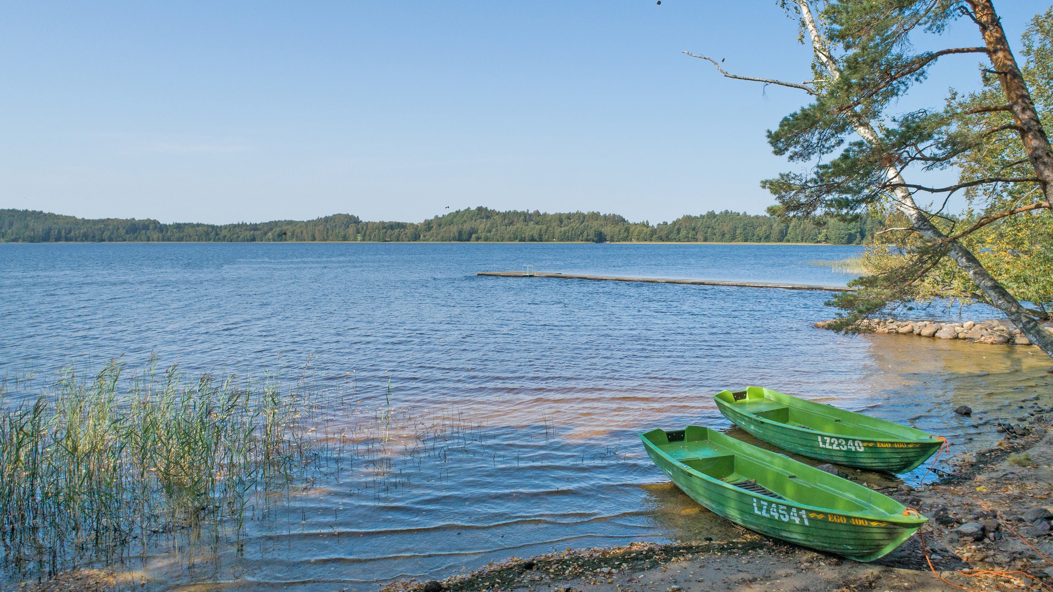 438101450 862215475948448 4546041673887431455 N