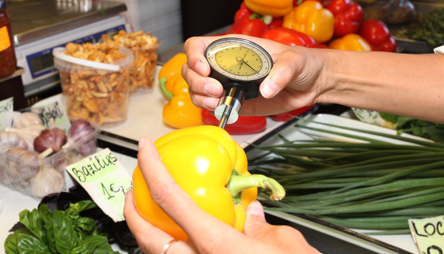 Whatsapp Image 2025 03 27 At 16.41.34 (2)