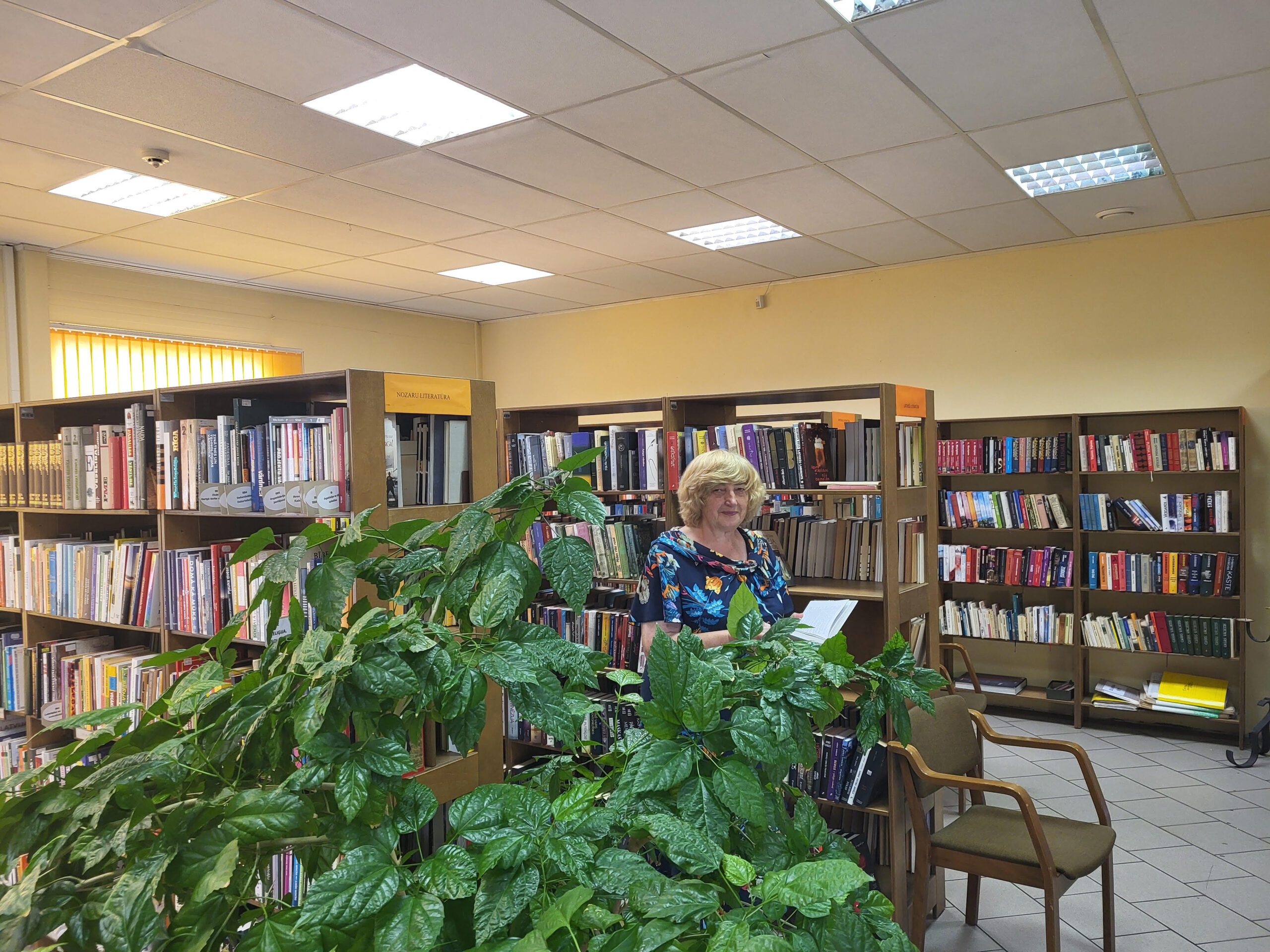 Lîvi Bibliotëka Veikalâ 1