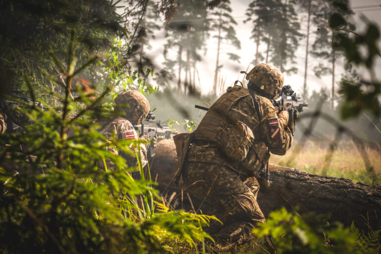 Namejs 2025 Norise Vidzemes Reàionâ