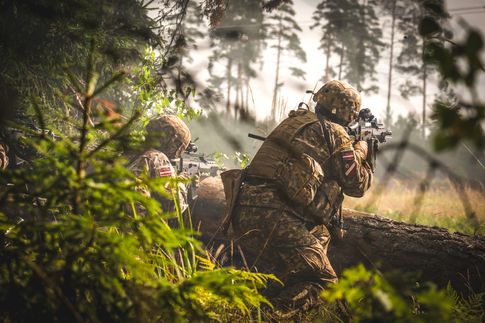 Namejs 2025 Norise Vidzemes Reàionâ