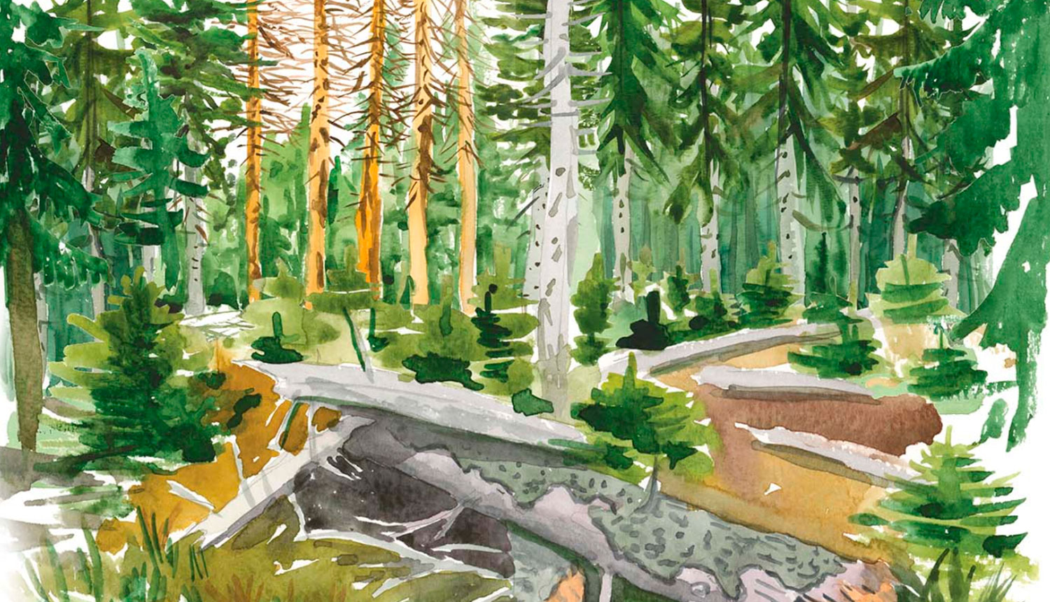 Ilustracija Mezs Daiga Seglina