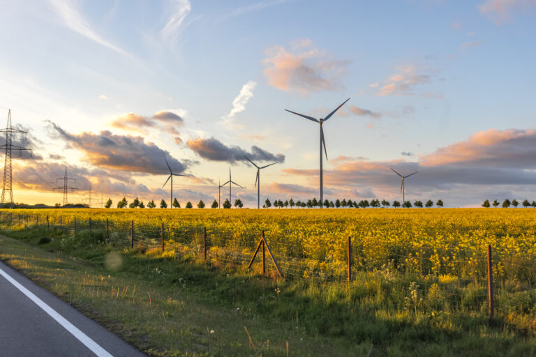 Wind Farm Field Sunset Light Alternative Energy Concept