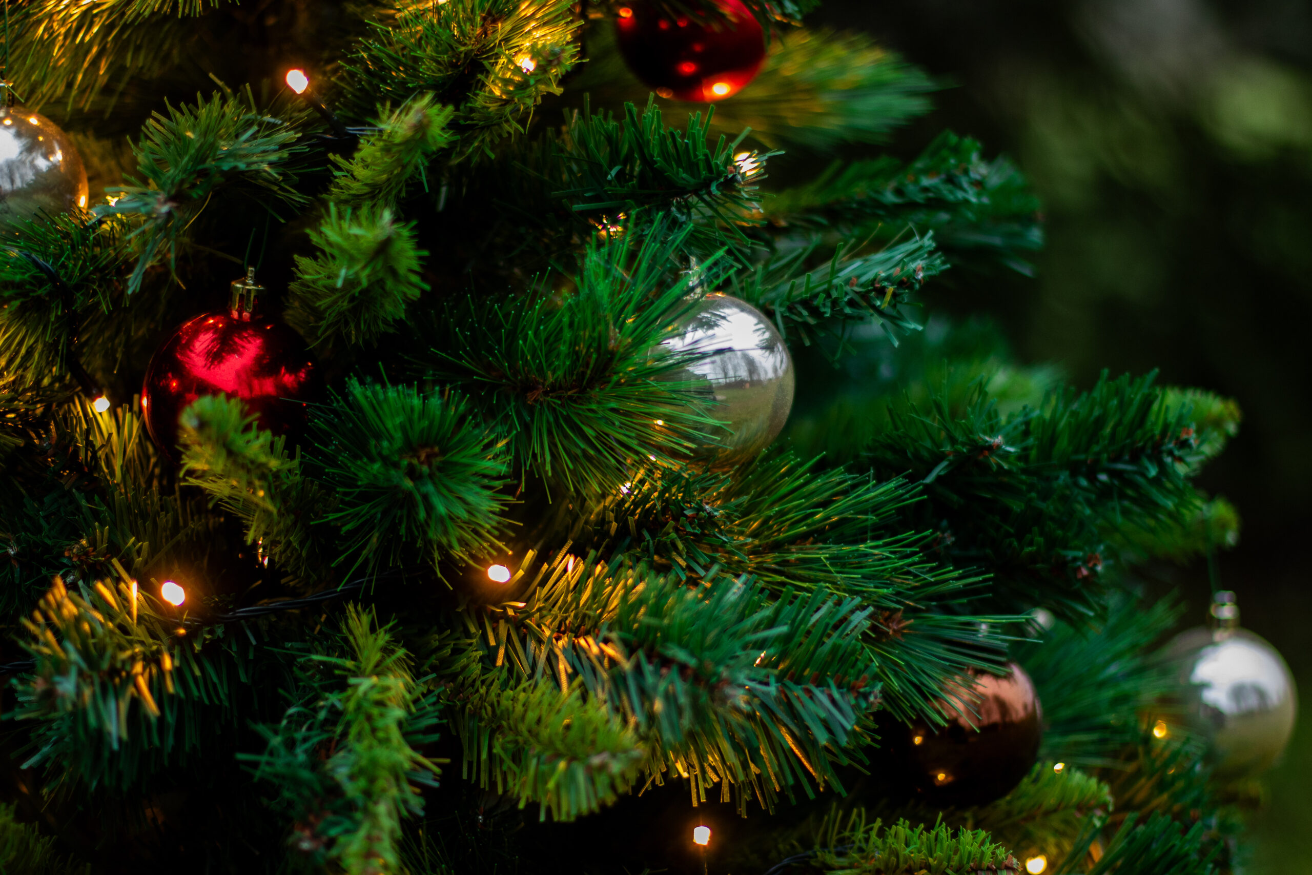 Ziemassvetki2025 2 (4)