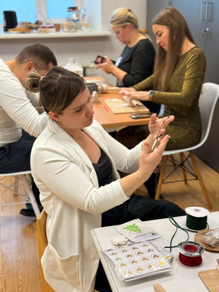 Labdariba Brinummaja (1)